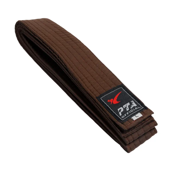 KIX Taekwondo Brownbelt