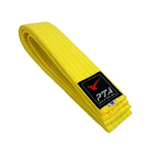 KIX Taekwondo Yellowbelt